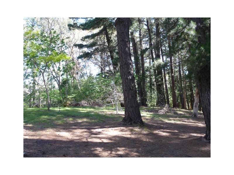 17 Woodland Close, Aldgate SA 5154