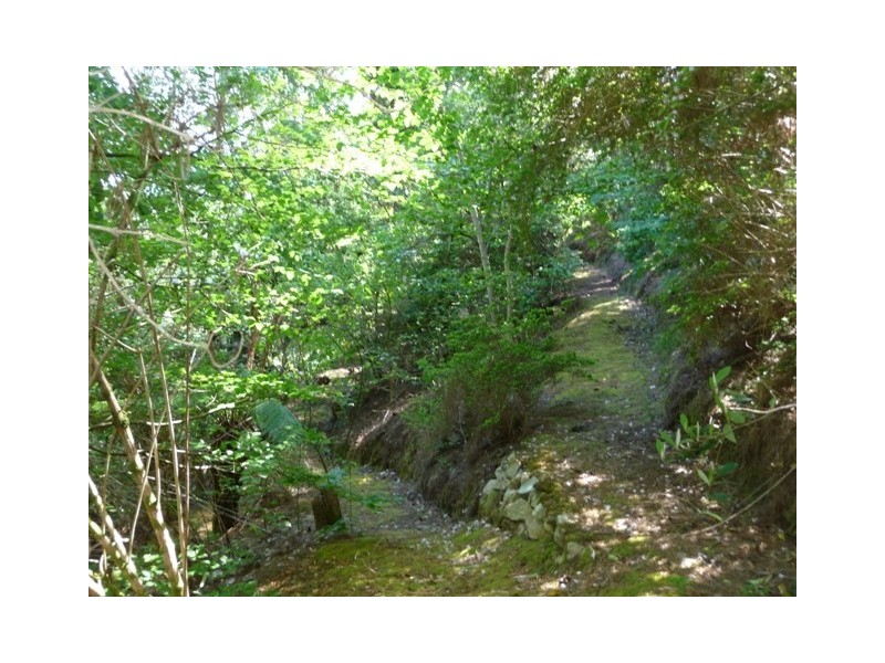 17 Woodland Close, Aldgate SA 5154