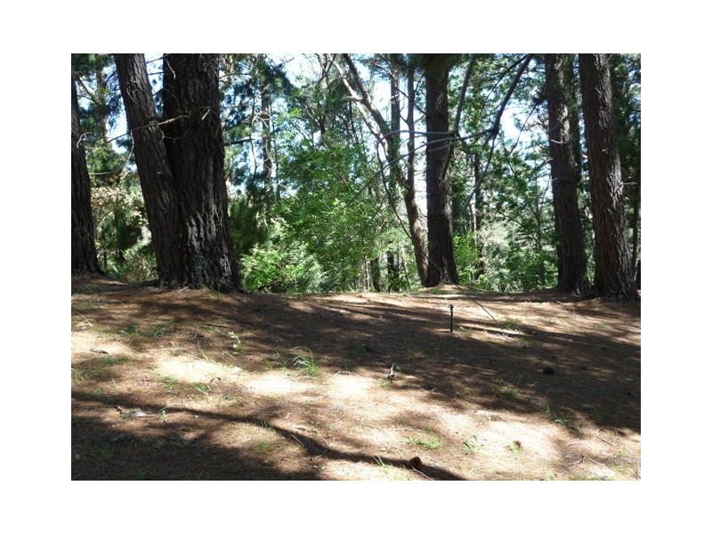 17 Woodland Close, Aldgate SA 5154