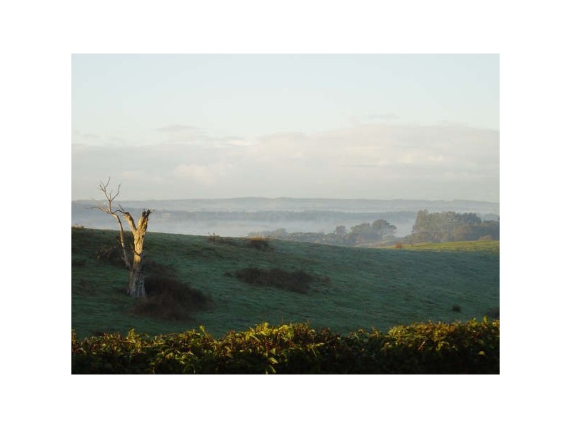 92 Osterley Avenue, Bridgewater SA 5155