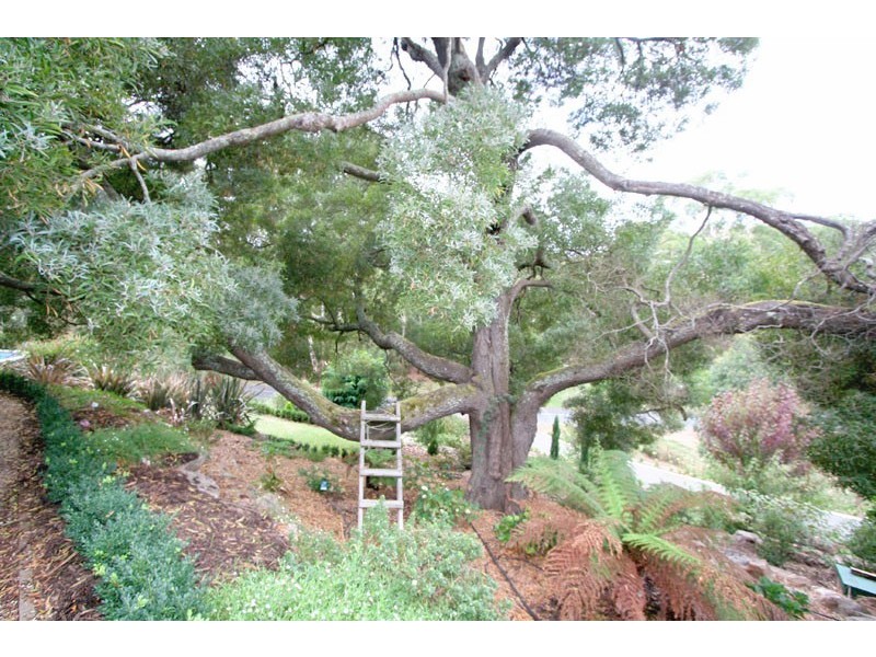 3 Arbury Park Road, Aldgate SA 5154