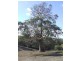 Lt 10 Summit Road, Nairne SA 5252