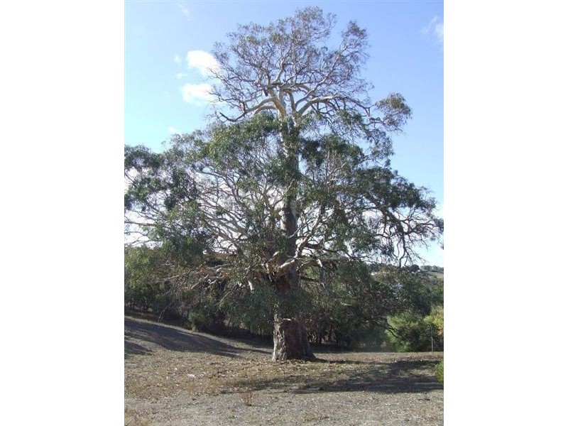 Lt 10 Summit Road, Nairne SA 5252