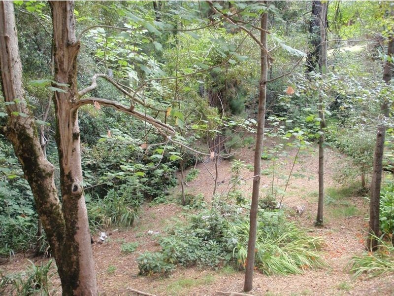 11 Kemp Rd, Aldgate SA 5154