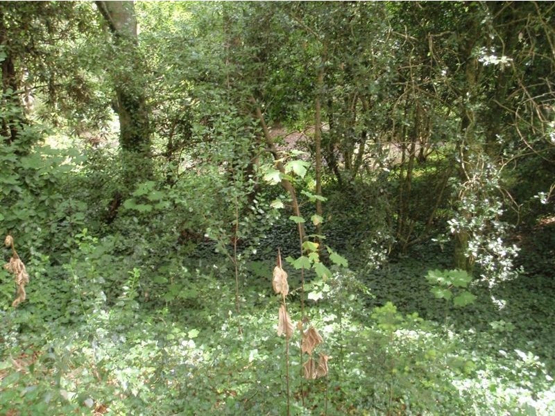 11 Kemp Rd, Aldgate SA 5154