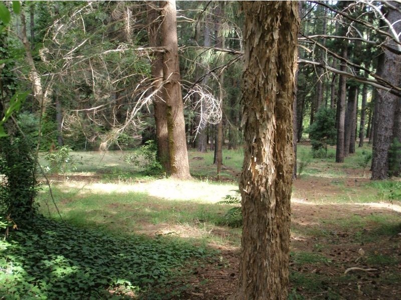 11 Kemp Rd, Aldgate SA 5154