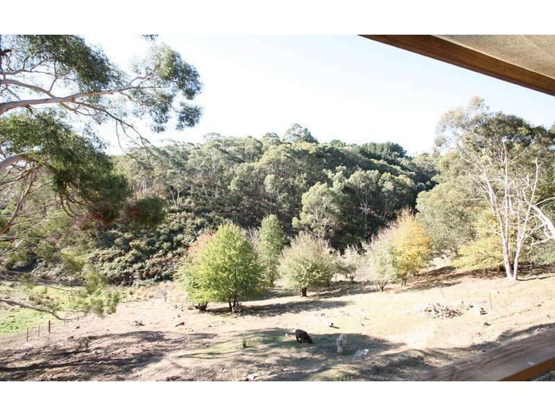 42 Sheoak Road, Crafers West SA 5152