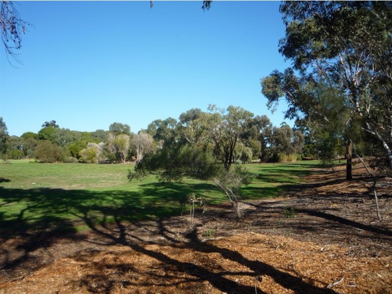 16 Silvermere Avenue, Paradise SA 5075