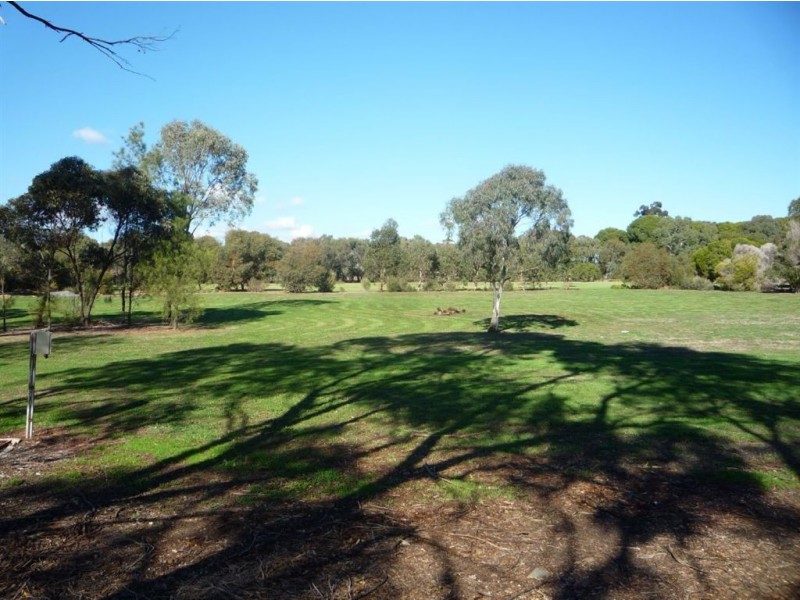 16 Silvermere Avenue, Paradise SA 5075