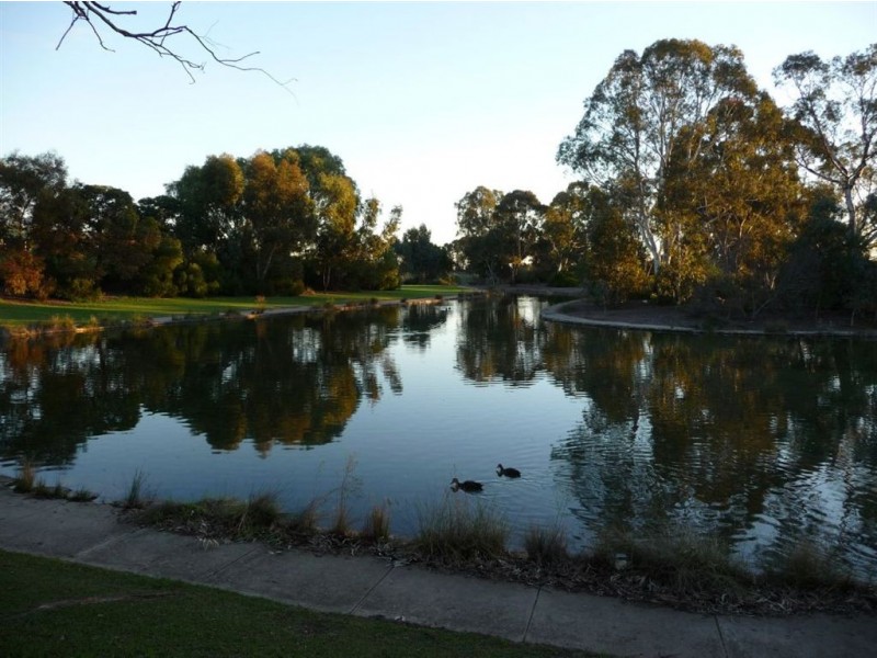 16 Silvermere Avenue, Paradise SA 5075