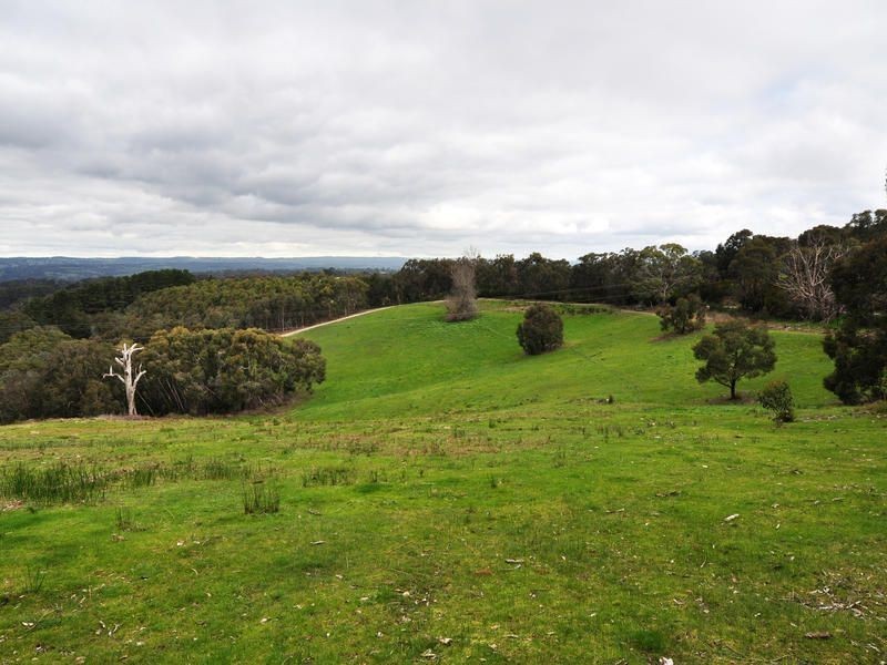 Lot 41 Jarrett Road, Mount George SA 5155