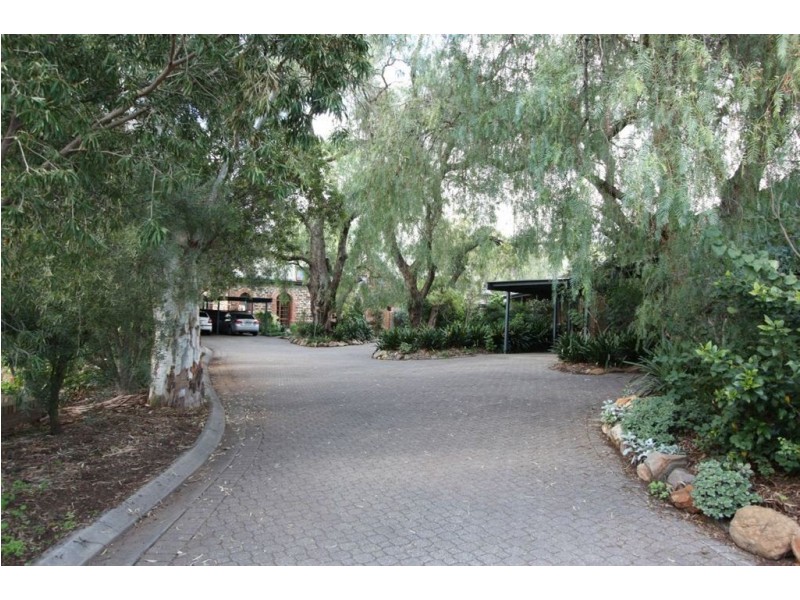 12/6 Vailima Court, Hackney SA 5069