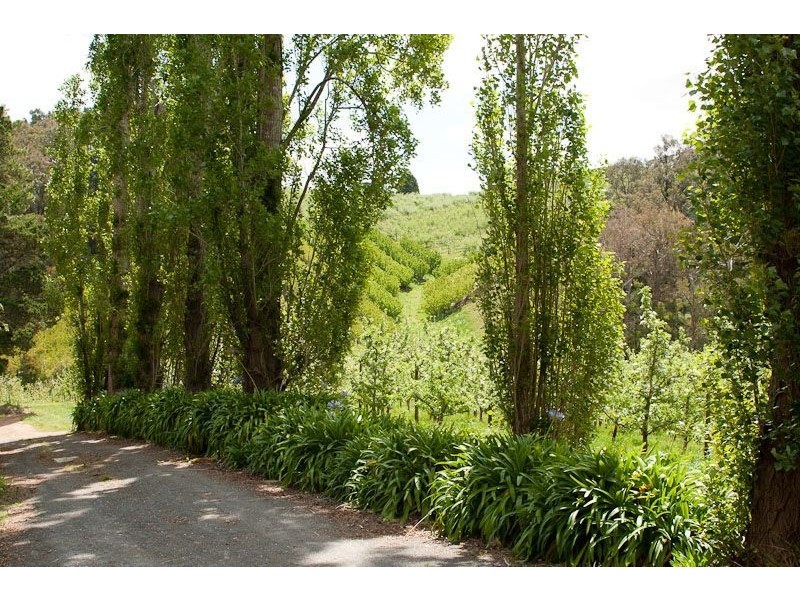 Lot 67 Harris Road, Forest Range SA 5139