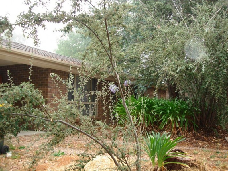 52 Osterley Ave, Bridgewater SA 5155