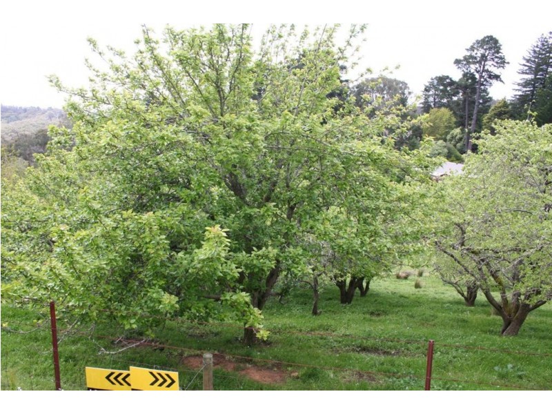 Crafers West SA 5152