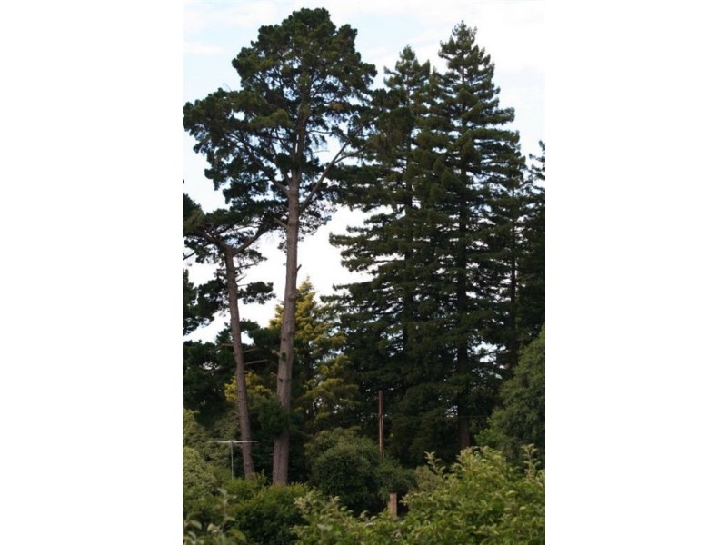 Crafers West SA 5152