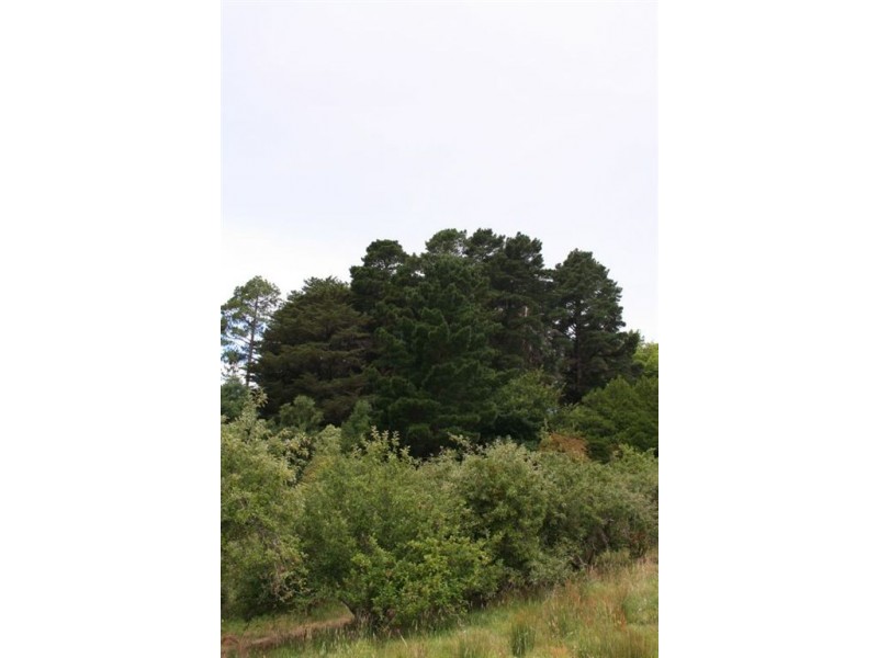 Crafers West SA 5152