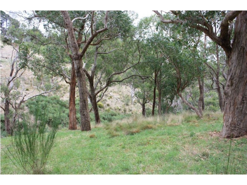 Lt 101 Glen Street, Crafers West SA 5152