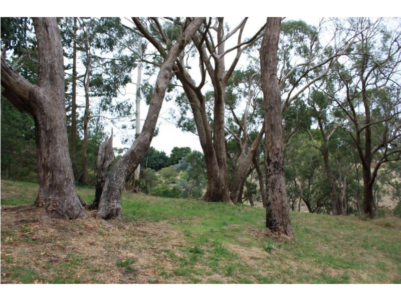 Lt 101 Glen Street, Crafers West SA 5152