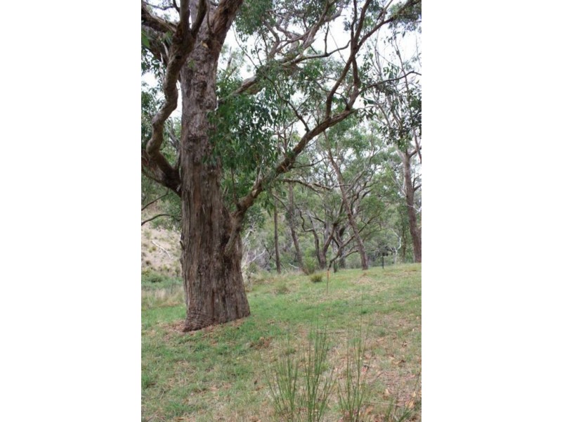 Lt 101 Glen Street, Crafers West SA 5152