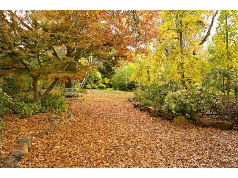 5 Alderley Road, Aldgate SA 5154