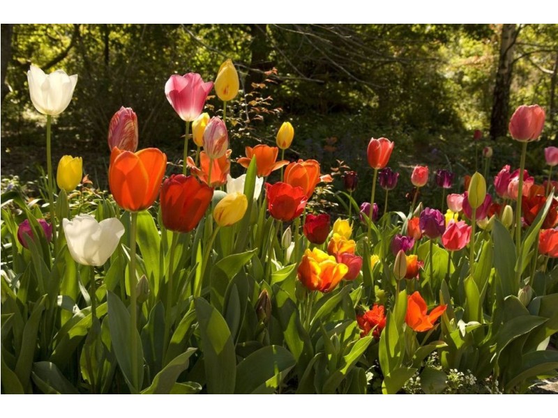 5 Alderley Road, Aldgate SA 5154