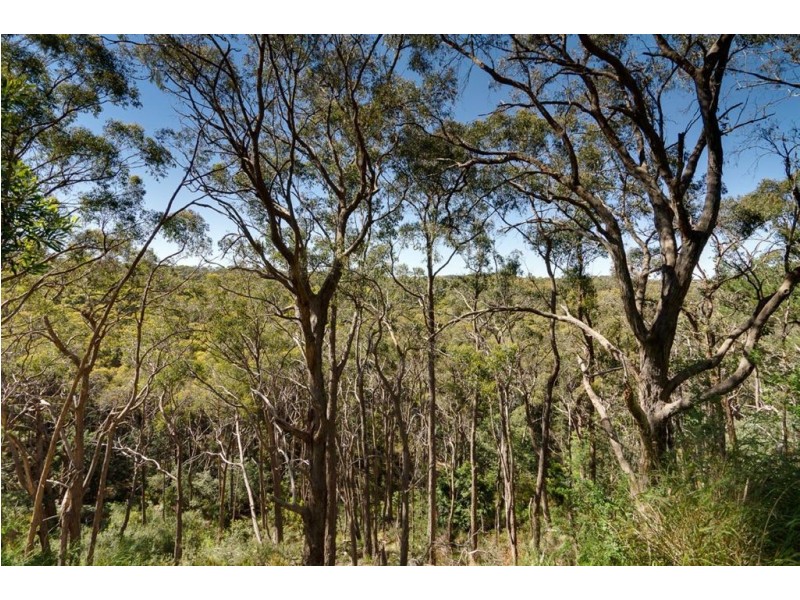 Lot 87 High Street, Stirling SA 5152