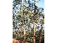 76A Scott Creek Road, Scott Creek SA 5153