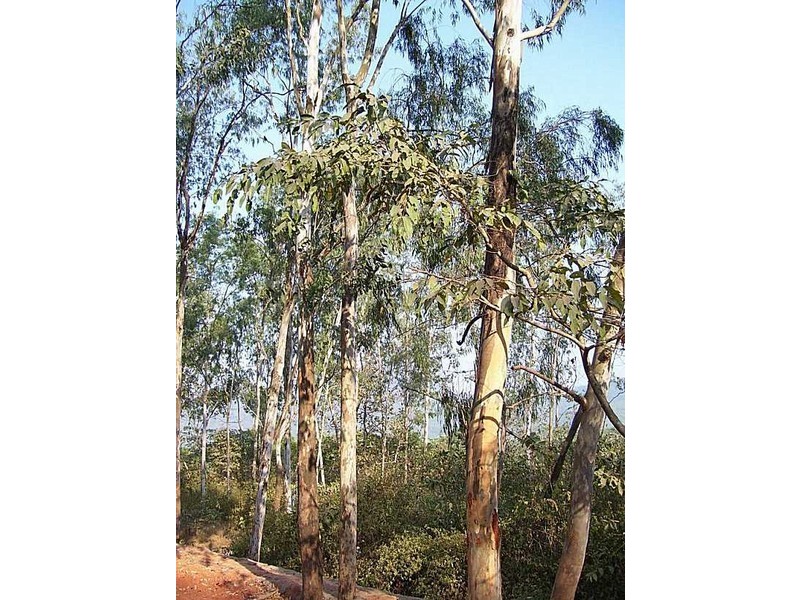 76A Scott Creek Road, Scott Creek SA 5153
