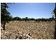 4 Charlick Road, Crafers West SA 5152