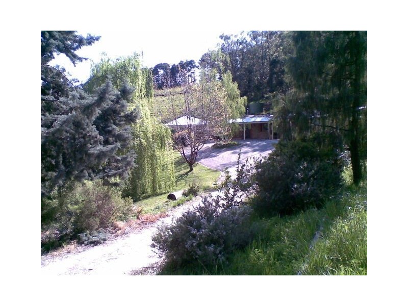 Lot 8 Valley View Crescent, Norton Summit SA 5136