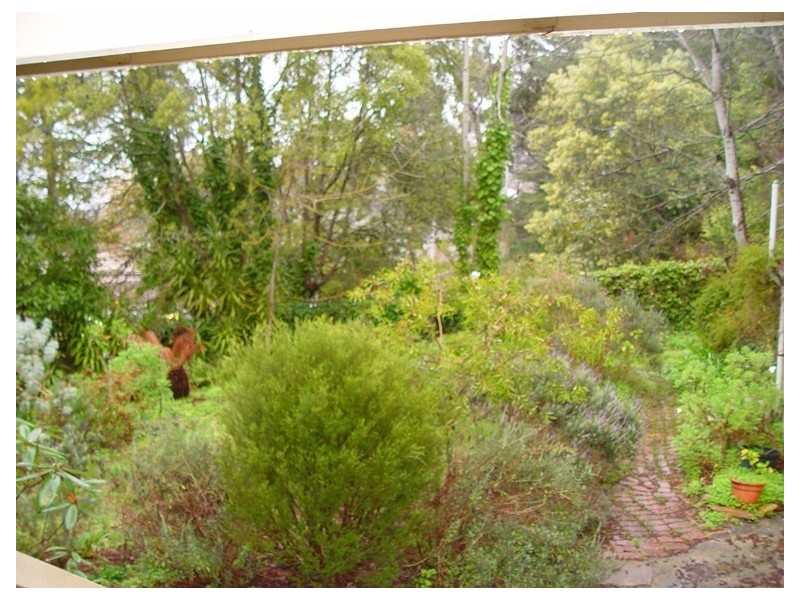 13 Druid Avenue, Stirling SA 5152