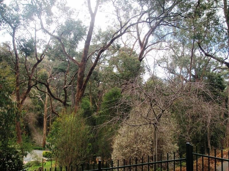 11 Pirralilla Place, Stirling SA 5152