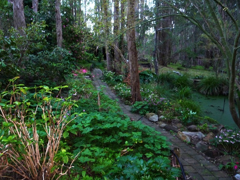 8 Penola Road, Aldgate SA 5154