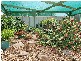 11 Rohrlach Street, Charleston SA 5244