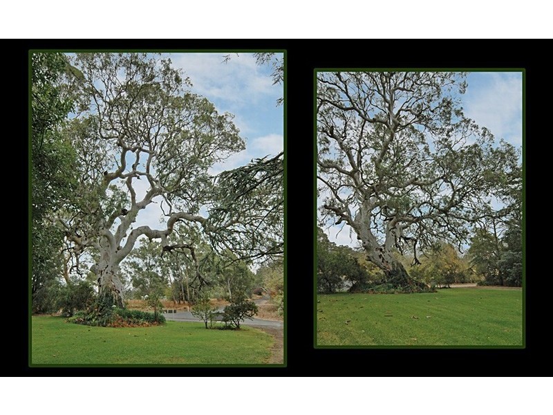 Lot 3 Donoghue Road, Woodside SA 5244