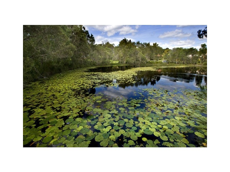 Burpengary QLD 4505