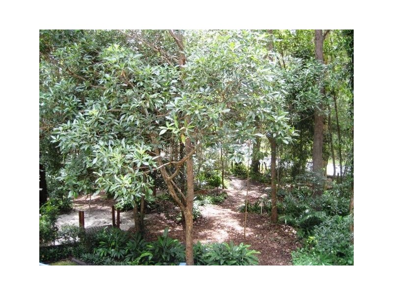 2 Orpheus Place, Burpengary QLD 4505