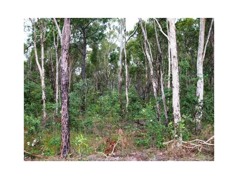 Lot 260 Jones Street, Rothwell QLD 4022