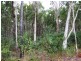 Lot 261 Jones Street, Rothwell QLD 4022