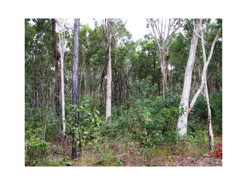 Lot 261 Jones Street, Rothwell QLD 4022