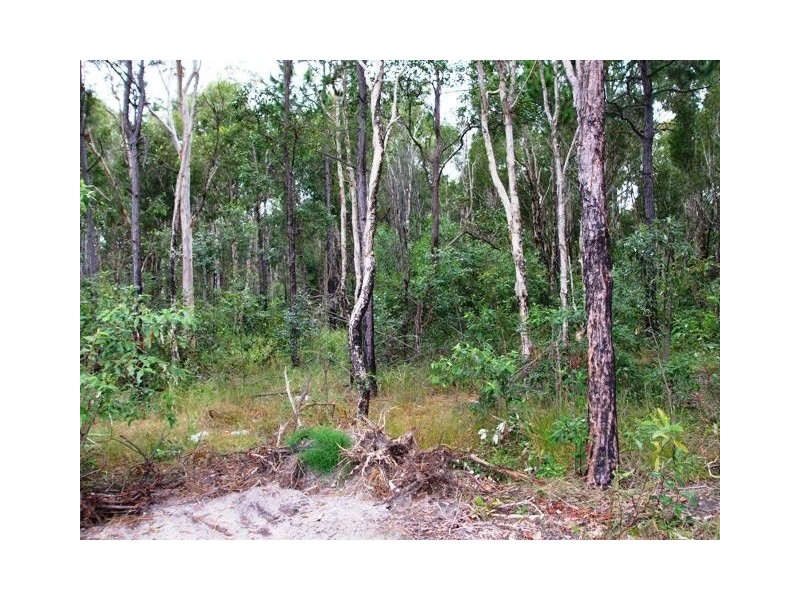Lot 261 Jones Street, Rothwell QLD 4022