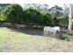 Bellmere QLD 4510