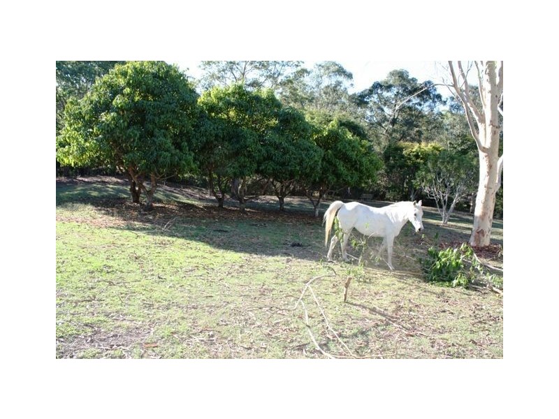 Bellmere QLD 4510