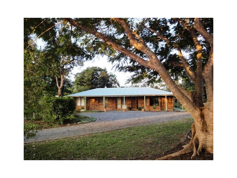 67 Bristlebird Drive, Morayfield QLD 4506