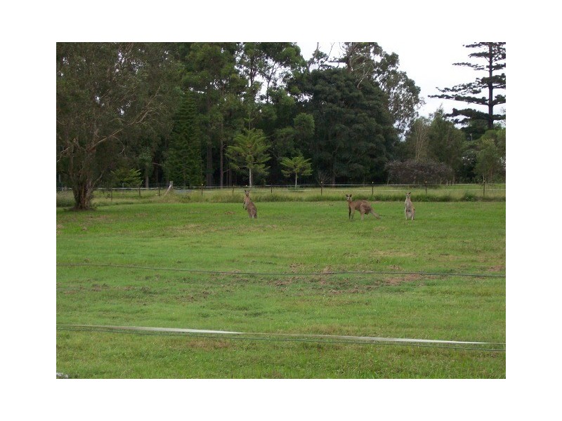 4 Behrens Road, Bellmere QLD 4510