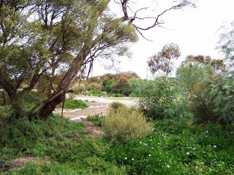 Lot 371 Moorlands Road, Tailem Bend SA 5260