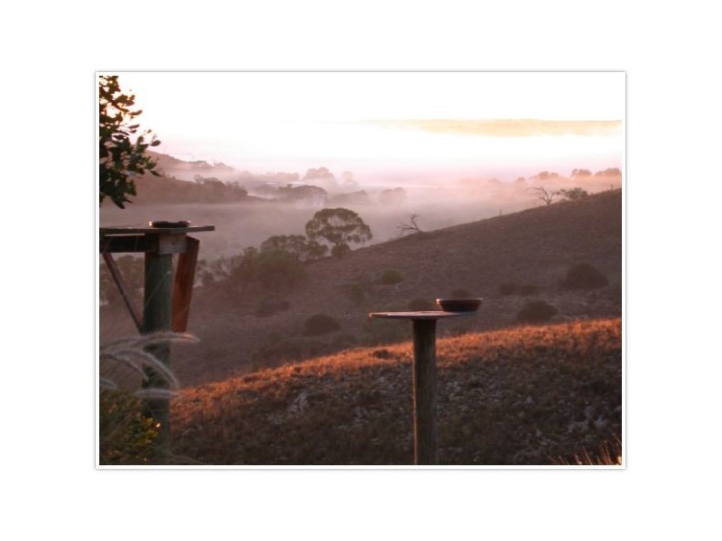 Lot 54 Dollard Avenue, Mannum SA 5238