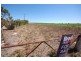 Lot 358 Jervois Road, Woods Point SA 5253