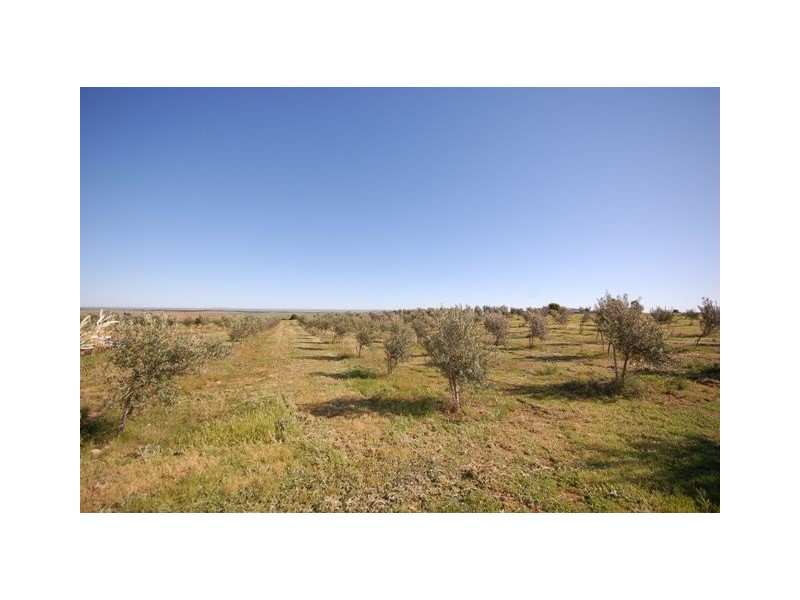 Lot 85 Coonawarra Road, Murray Bridge SA 5253